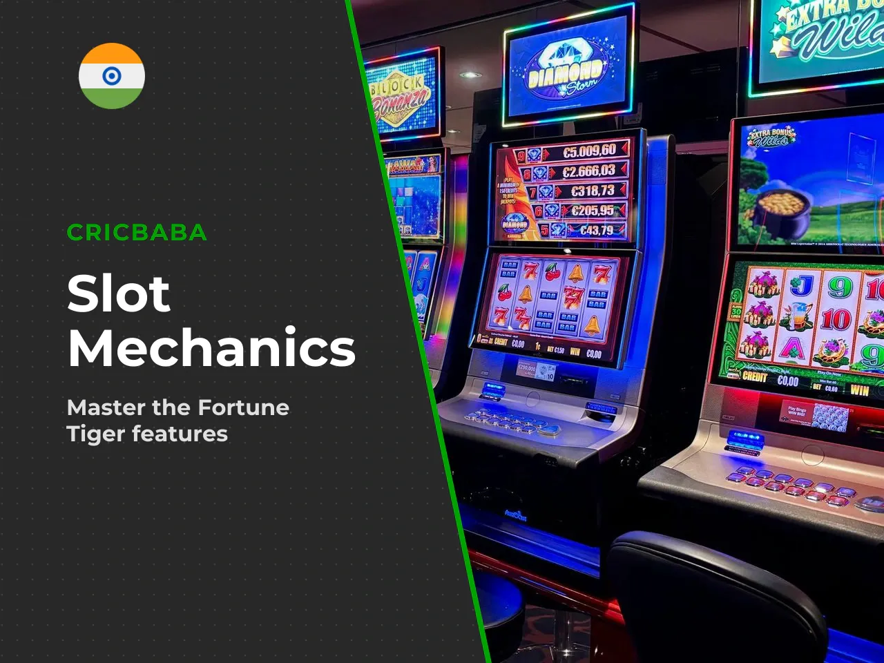 Lucky Tiger Bonus and Multipliers Up